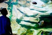 Explora Park Aquarium of Science & Technology